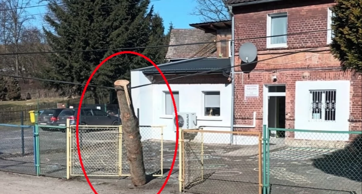 Niebezpieczny incydent przy szkole w Rząsinach. Z przejeżdżającej ciężarówki spadła bela drewna