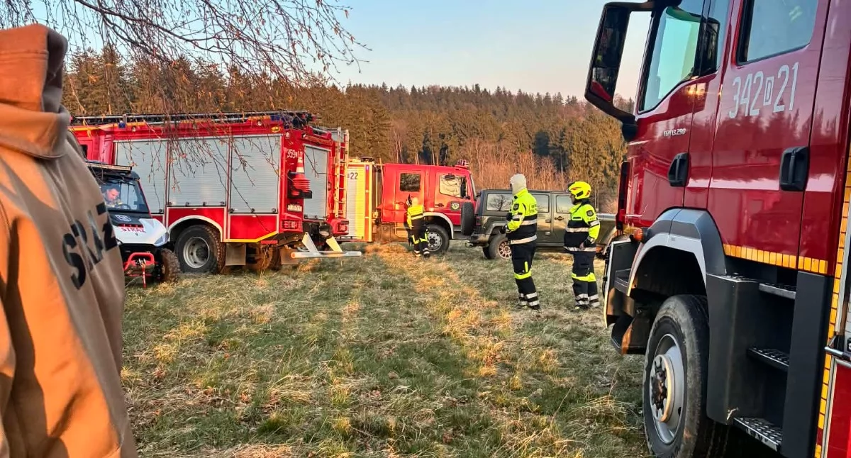 Pożar lasu pomiędzy Radomierzem i Janowicami. Nietypowy finał akcji ratowniczej