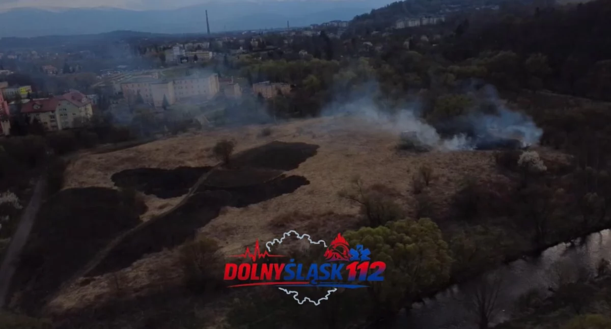 Kolejny pożar traw w Jeleniej Górze. Interweniowała straż pożarna