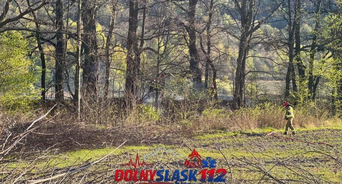 Pożar zarośli między Sobieszowem a Pakoszowem. Szybka interwencja strażaków.