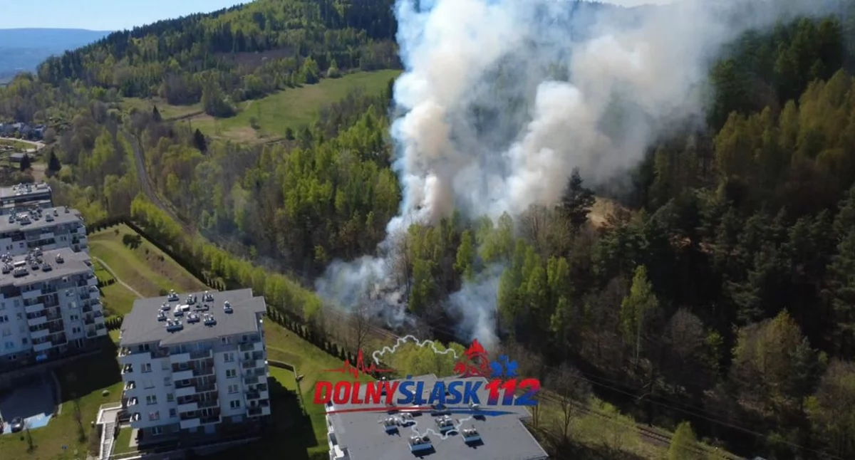 Pożar lasu na Rakownicy. Słup dymu widoczny z daleka, trudna akcja strażaków.