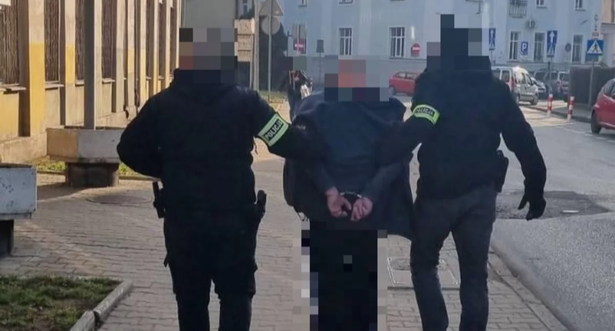 Kryminalni odzyskali skradzionego Citroena. 20-latek usłyszał zarzuty