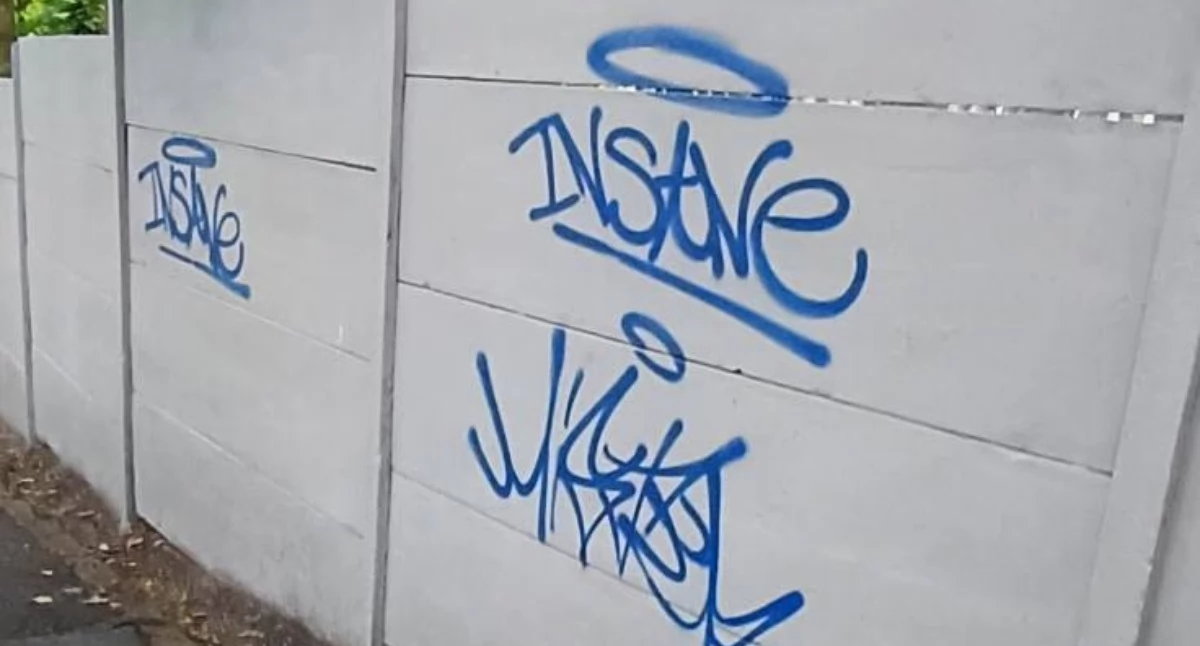 Łobuzy ze sprayami szaleją pod osłoną nocy