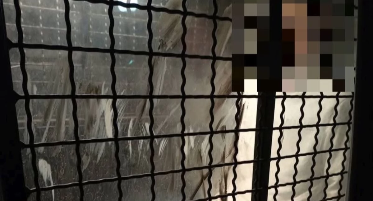 33-latek z narkotykami. Skuteczna akcja jeleniogórskich policjantów