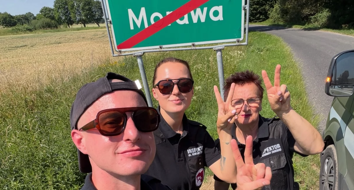 Afera pod Strzegomiem. Zawody konne w upale. Na miejscu działał DIOZ