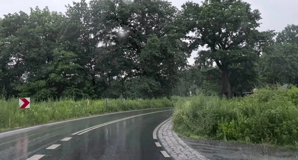 Niebezpiecznie na drogach powiatowych. Zarośnięte pobocza ograniczają widoczność