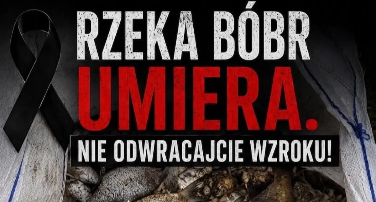 Zapowiadają pokojowy protest w obronie Bobru. Mogą wystąpić utrudnienia na DK 5