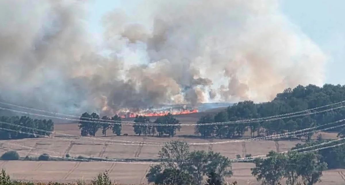 Ogień strawił ponad 20 hektarów upraw. Groźny pożar pod Jerzmanicami-Zdrojem