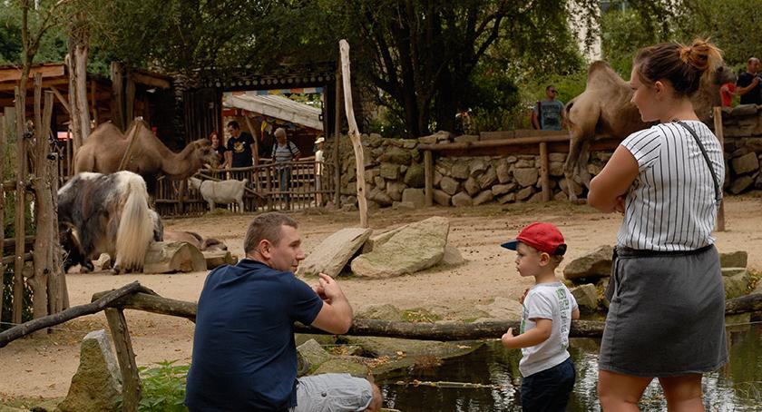 „Wizyta w zoo nie różni się niczym od spaceru na świeżym powietrzu!”