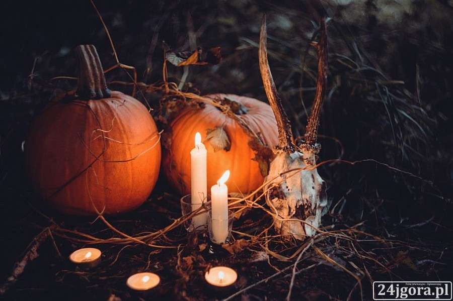 Mroczny Wrocław ? nowa edycja na Halloween