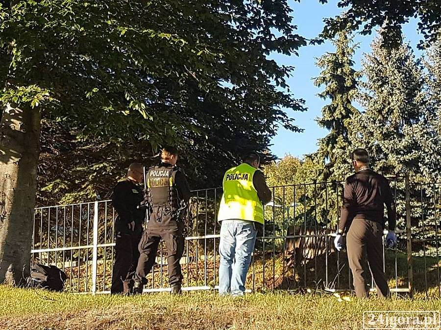 Makabryczne odkrycie na ulicy Sudeckiej
