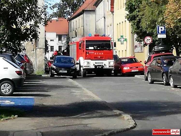 Interwencja policji i straży. Niestety, starsza kobieta już nie żyła
