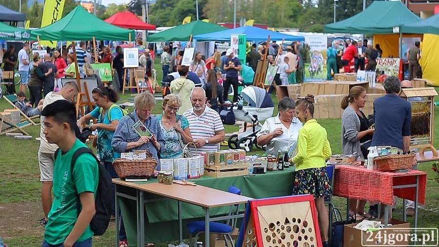 Mnóstwo atrakcji na Pikniku pod Chojnikiem