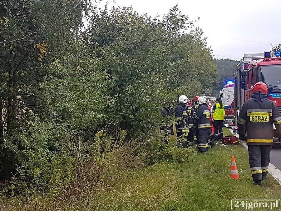 Pod Jelenią Górą auto wypadło z drogi