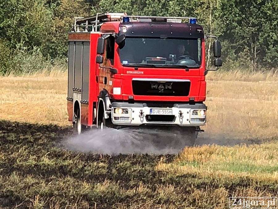Pożar nieużytków w Piechowicach