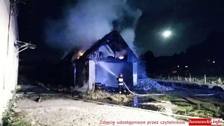 PODPALACZ ZATRZYMANY
