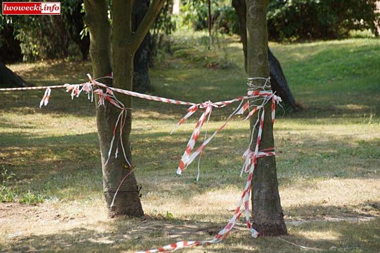 Gorzej niż Kargule z Pawlakami. Sąsiedzka wojna o skrawek ziemi
