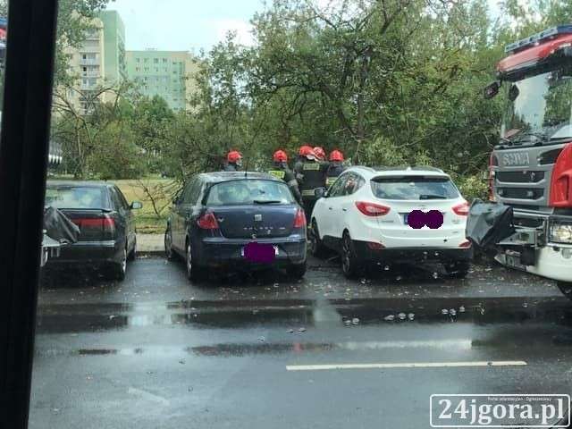 Drzewo spadło na samochody