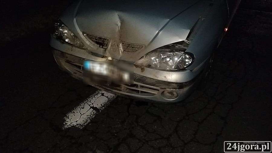 Uwaga na dzikie zwierzęta!