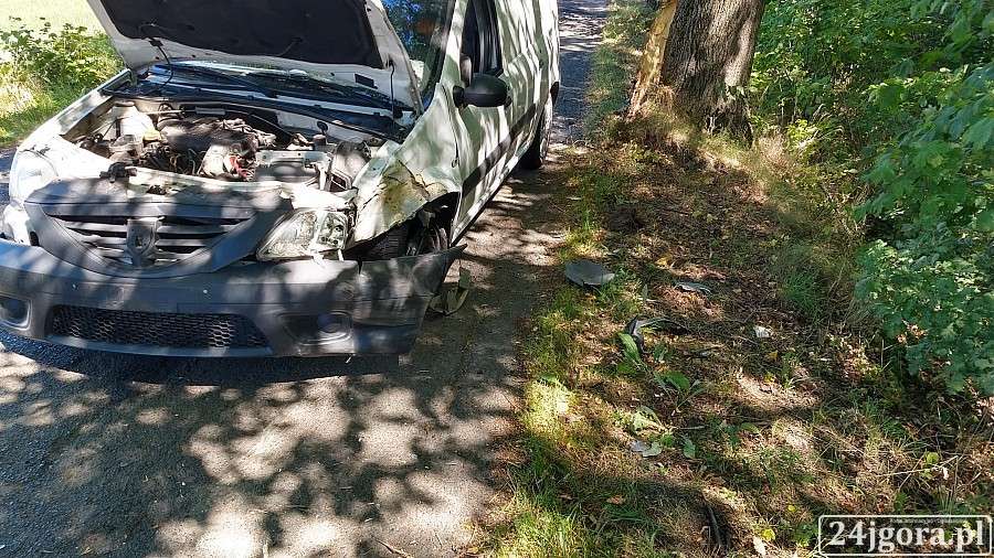 Rozbił Dacię na przydrożnym drzewie