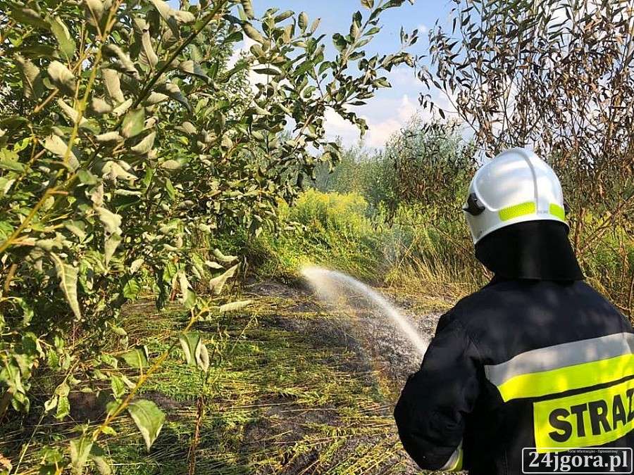 Pożar nieużytków w Pakoszowie