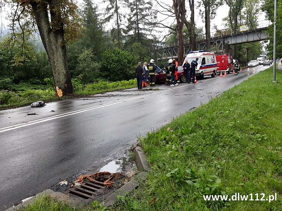 Honda uderzyła w drzewo