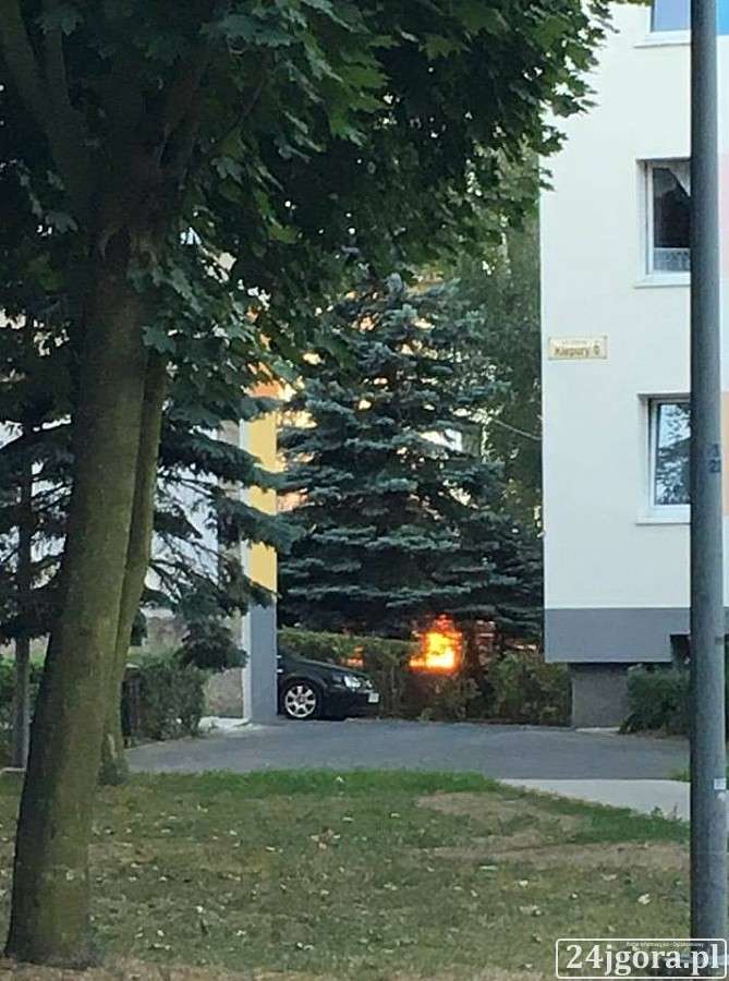Pożar śmietnika na Kiepury