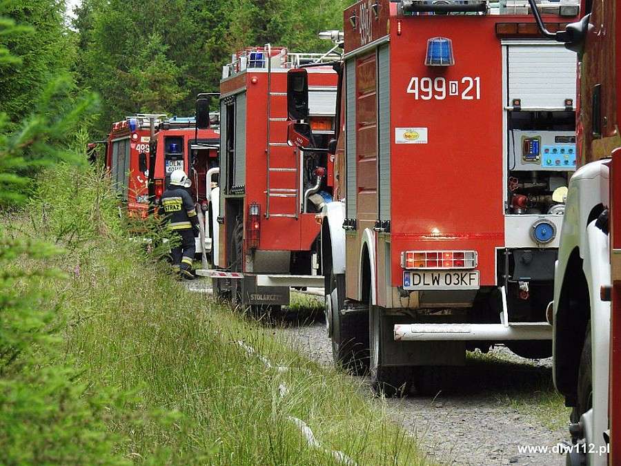 Pożar lasu - ćwiczenia straży pożarnej