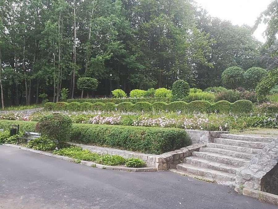 Latem grillowanie, jesienią park na Zabobrzu
