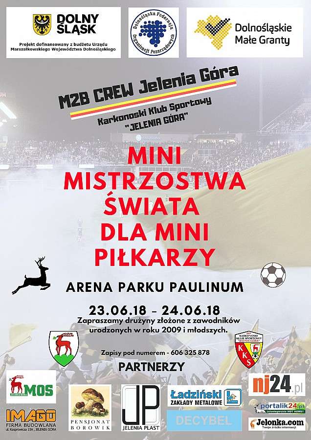 MINI MISTRZOSTWA ŚWIATA DLA MINI PIŁKARZY