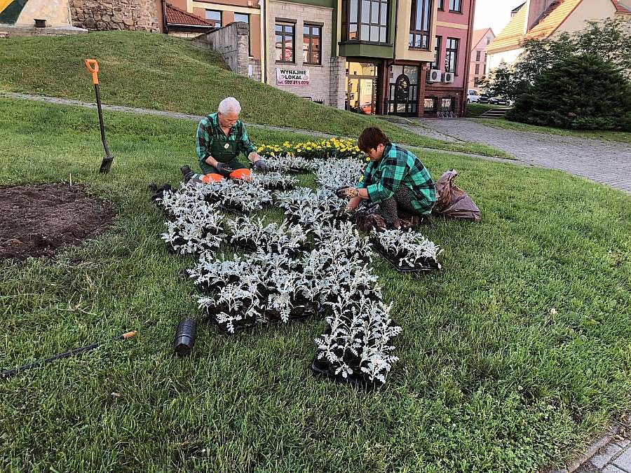 Jelenią Górę wypełnią kwiaty