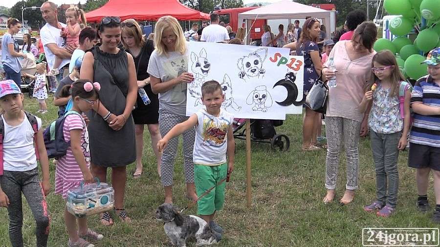 Piknik ze Zwierzakami na jeleniogórskich błoniach (VIDEO)