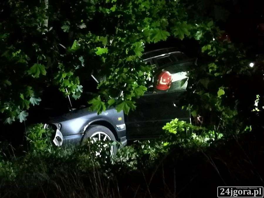 Auto uderzyło w drzewo. Kierowca trafił do szpitala.