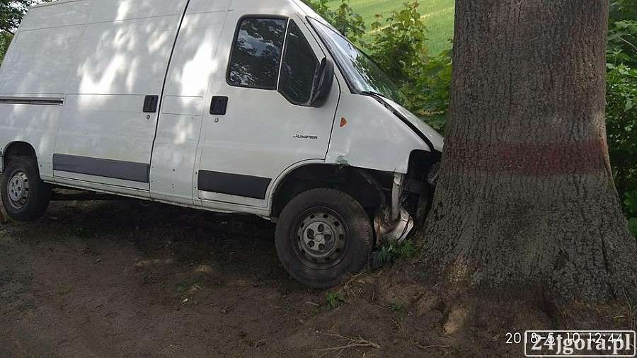 Na drodze do Lwówka Śląskiego bus uderzył w drzewo