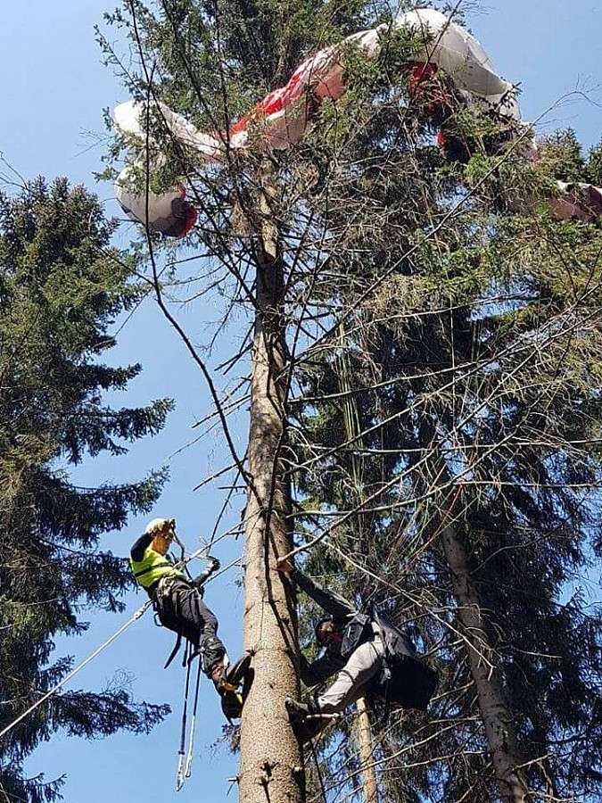 Paralotniarz na drzewie