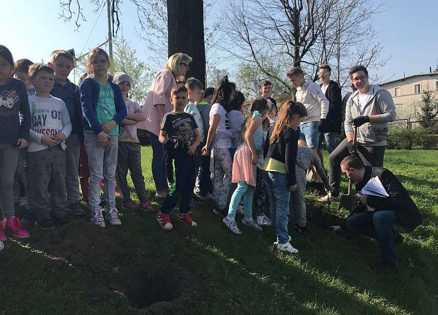 Dzień Ziemi w Jeleniej Górze