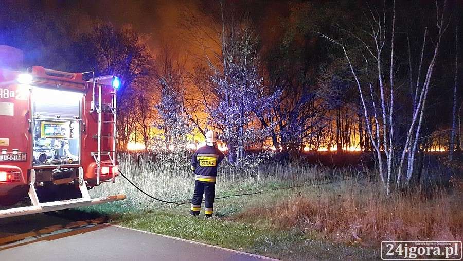Pożar traw na Karola Miarki