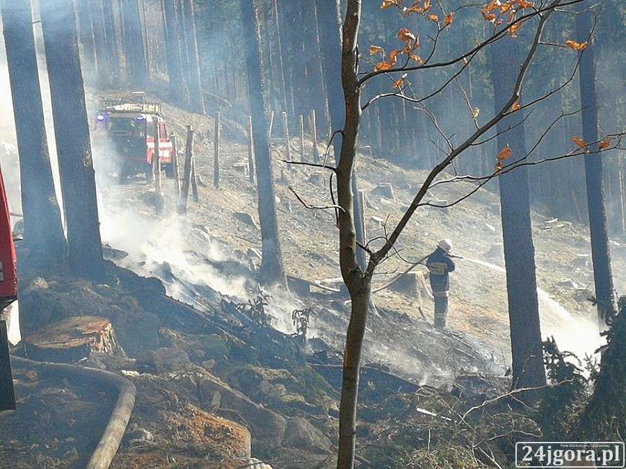 Pożar lasu w Karpaczu