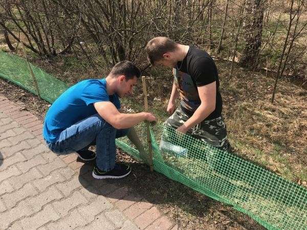 Na ratunek żabom!