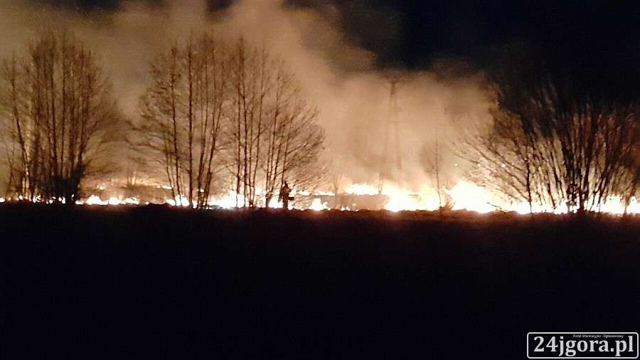 Płonęły łąki w Kostrzycy