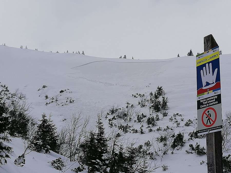 Narciarz wywołał lawinę w Karkonoszach