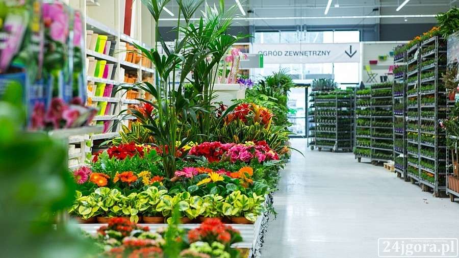 Pytania o handel w niedzielę - odpowiada PIP i resort pracy
