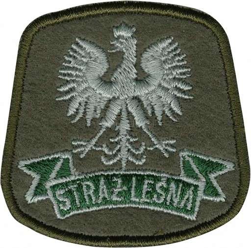 Pracownik urzędu kradł drzewo 