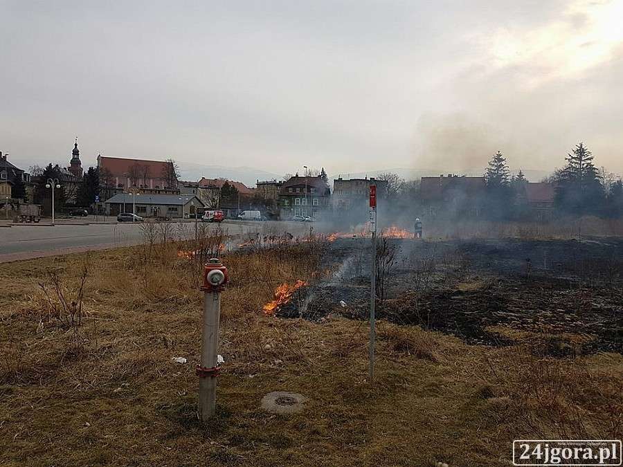 Pożar łąki w Cieplicach