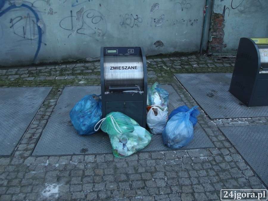 Podziemne gniazda wychodzą na powierzchnię