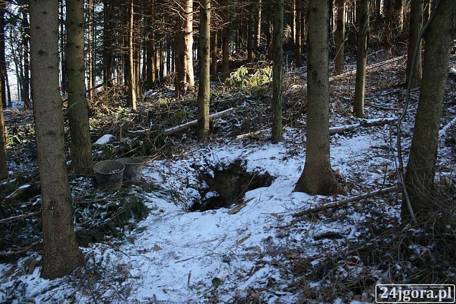 Co wykopano w lesie w Piechowicach?