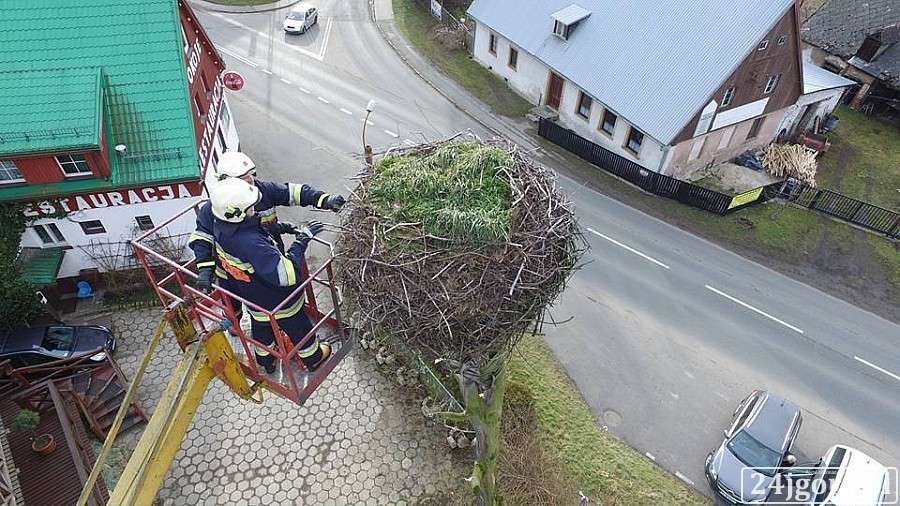 Remont bocianiego gniazda w Podgórzynie