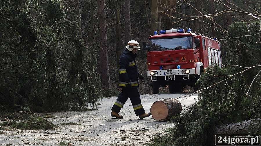W górach mocno wieje. Powalone drzewa.