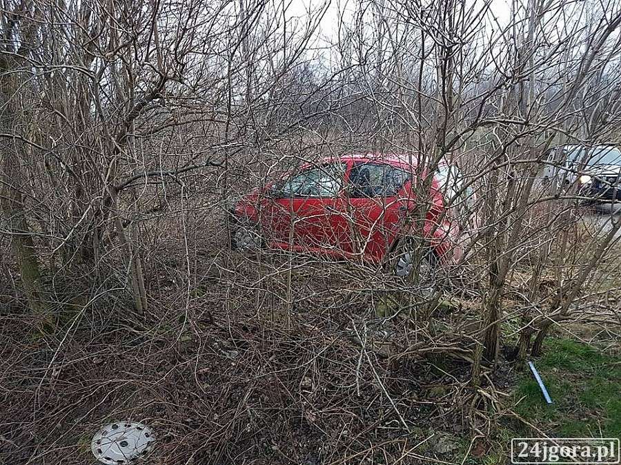Citroen wypadł z drogi
