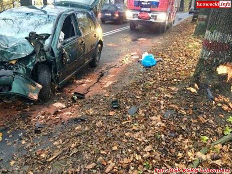 Stracił panowanie nad pojazdem i wjechał w drzewo